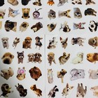 Cute Dog Sticker For Packaging Random 2pc New From Japan 2                                                         