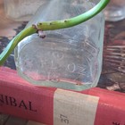 4 Antique vintage Glass Bottles beautiful Imperfections And Bubbles