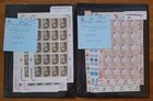 World Stamps Collection - Big Lot Of Souvenir Sheets In Dealer Pages All Mnh Og