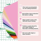 001 Matte Permanent Vinyl 12  X 12  21 Colors For Scrapbooking  Vinyl Cutter Mac