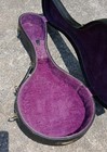 Vintage Bulls Head Mandolin Case
