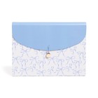  13-pocket Accordion File Charming Coquette 1 65 X 9 25 X 13 13 Inches 
