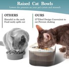 Cat Water Fountain - 100oz Quiet Automatic Pet Water Dispenser  Stainless Steel