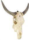 Mount Skull Deer Hanger  12 Packs  Easy Installation Kits  Antler Mounting Kit 