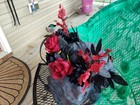 Gothic Flower Tiara