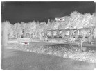 Plate Glass Photo Antique Negative Black And White 13x18cm Park Public