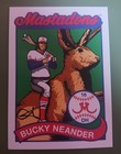 Pearl Jam 2016 Fenway Park  bucky  Variant Edition Trading Card Artist Signed 