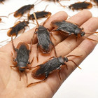 30pcs Realistic Fake Cockroach Prank Bugs Halloween Party Toys Prank Simulation