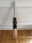 Batmanchicago English Willow Player Edition Cricket Bat For Adult Batter