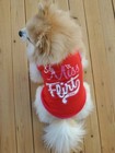 5 Pieces Small Puppy Shirts For Cat Dog Clothes Pet Dogs T Shirt Chihuahua Usa