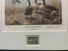 1958 Federal Duck Stamp Print Rw25 Goose By Les Kouba Colored Edition