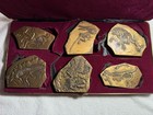  6  1994 Society Of Medalists 128th Medallic Art Bronze Dinosaurs