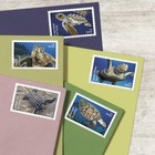 Usps Protect Sea Turtles 2024  5 Sheets Of 18  Forever Stamps 5865-5870