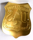 U s  Forest Service Curved Metal Hiking walking Stick Medallion Tuskegee Nf