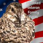 36 Jumbo Coturnix Quail Fertile Hatching Eggs  Npip Certified Game Farm