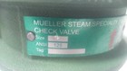 Mueller Steam Specialty 4 71ahb3h 4 In Size Cast Iron Double Disc Check Valve