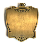 Vintage Bronze Medallion Medal Usa Wrestling 3-d Like Team Sports