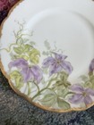 Antique C 1878 Haviland   Co  Limoges France Hand Painted Floral Luncheon Plate