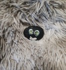Pet Rock Gift 