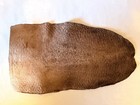 Tanned Beaver Tail Skin Hide Leather Craft 9    X 5   