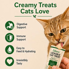 Lickable Cat Treats Chicken  Creamy Tube Treats With Taurine   Vitamins  Digesti