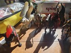 Huge Schleich Germany Fantasy Lot Kong Queen Unicorn