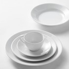 Apilco Tradition Porcelain Dinnerware Sets 42450