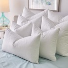 1221 Bedding Decorative Pillow Inserts  set Of 2 