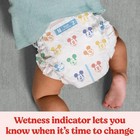 Size 2 Diapers  Snug   Dry Baby Diapers  Size 2  12-18 Lbs   100 Count