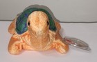 Ty Beanie Baby - Peekaboo The Turtle 6 5  New Mwmts Plush Stuffed Animal Toy