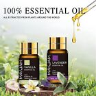 Mayjam 35pcs 5ml Essential Oil Set Aromatherapy Gift 100  Pure Oils For Diffuser