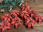 Vintage Christmas Lights Flower Tulip Poinsetta 