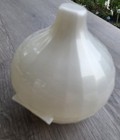 Tupperware Vintage White Garlic Keeper Plastic Food Container Hinged Lid  New