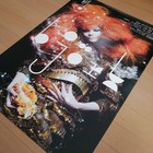 Bjork   Biophilia 2011 Japan Original Promo Poster B2 Jis 20x28in 515x728mm 