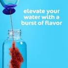 Mio Cherry Blackberry Liquid Water Enhancer Drink Mix   1 62  fl Oz Bottle 