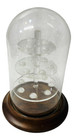21 Thimble Glass Display Dome Walnut Wood Base Curio Case 4x7 No Thimble