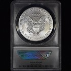 2017-w  1 Silver American Eagle     Anacs Sp-70     1 Oz Coin Burnished Satin Fdoi B