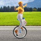 Unicycle With Excellent Steel Frame Leakproof Tire Adjustable Height For Outdoor