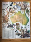 Vintage National Geographic Maps Lot 25 Wwii New York California Europe History