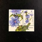 Ukraine 2017  Set Of Stamps  medicinal And Honey-bearing Plants  Corner Sheet