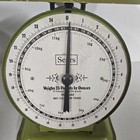 Avocado Green Rustic Sears 25 Pound Capacity Metal Scale Vintage   Works 