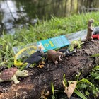 Safari Ltd  River Ecosystem Toob - Figurines Of Bald Eagle  Beaver     