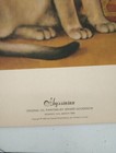 Vtg Abyssinian Cat Print 1965 From Original Art By Girard Goodenow  19 X 14 5