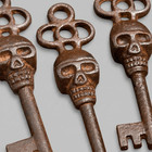 Skull Cast Iron Skeleton Keys Set Of 5