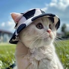 2pcs Pet Bucket Hat For Cats   Dogs - Sun Protection  Ear-friendly Design