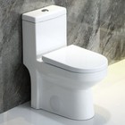 Dual Flush One Piece Toilet Bathroom Modern Compact Toilet 1 28gpf W  Uf Seat