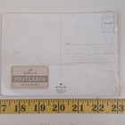 Hallmark Strawberry Postcards 12 Pack Vintage Floral Fruit Garden Design