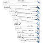 24pcs Whdz Lighting Board Puller Rod Hammer   car Paintless Dent Repair Tool Kits