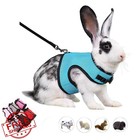 Ferret Harness Leash Set Blue M Rabbit Guinea Pig Small Animal