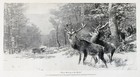 Antique Deer elk Hunting Antlered Game 1895print Lot man Cave Den Cabin Art Work